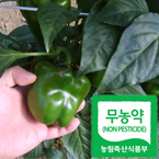 ����� �Ǹ�500g�̻�/���������̻�