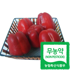 [ģȯ�����]������ī3kg(����)(250g���� ��12������)