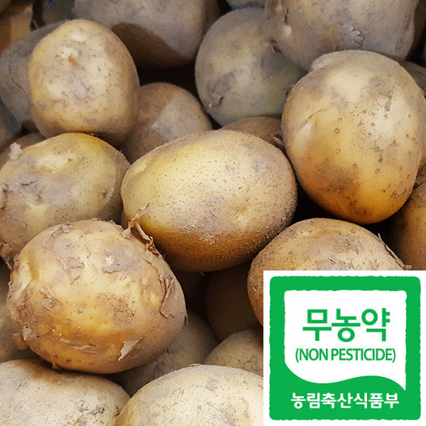 ������ް���7kg(�����ѻ�����(���))/�ް���(��,�丮 �� ��ñ� �� ������)