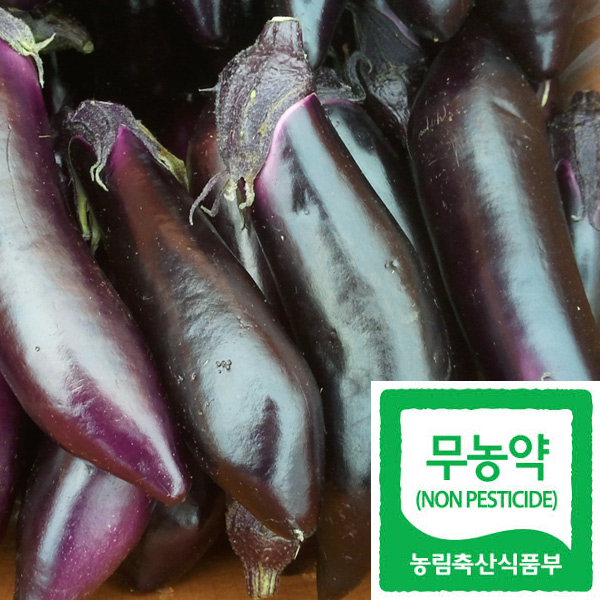 [�����]����500g/���������