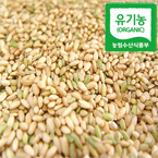 �����������1kg(��������)/ģȯ������